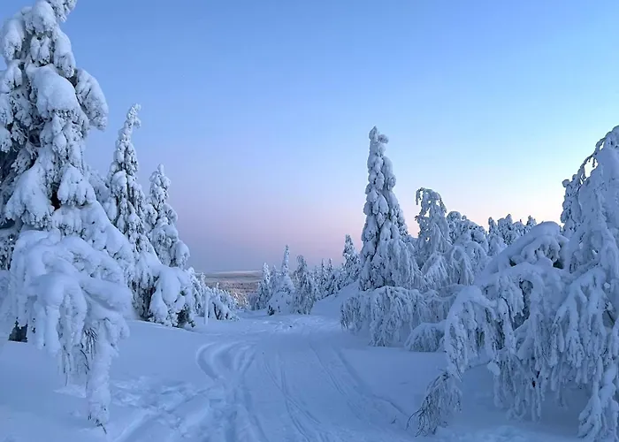 Διαμέρισμα Kelokuura *